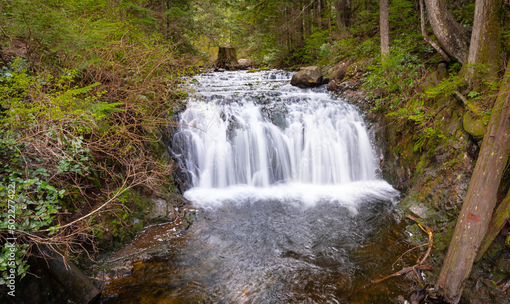 Obraz premium Beautiful mountain rainforest waterfall with fast flowing water and rocks, long exposure.