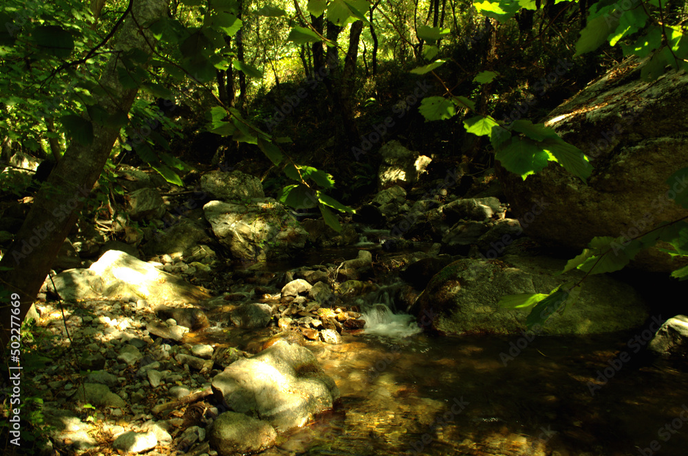 Natura fluviale di montagna collinare - Calabria