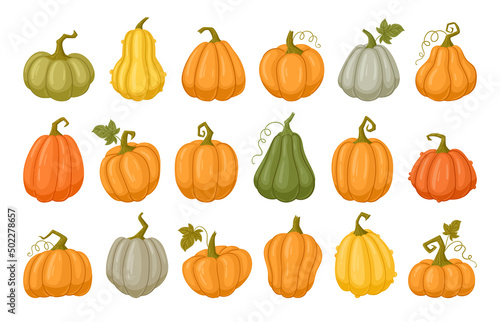 Cartoon pumpkins, halloween squash, fall harvest gourds. Pumpkins, squash and leaves vector symbols illustrations. Autumn thanksgiving and halloween pumpkins collection