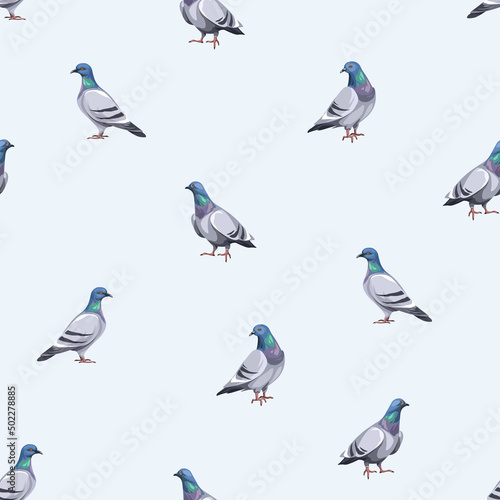 Seamless pattern with pigeon birds on a blue background. Vector illustration