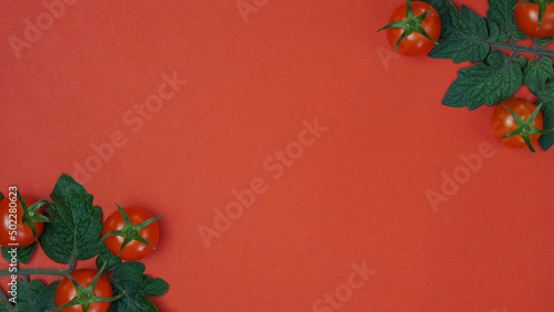 red ripe cherry tomatoes with leaves of a tomato plant on a red background. top view, copy space © Маргарита Трушина