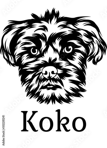  KoKo Black White Vector suitable for logo