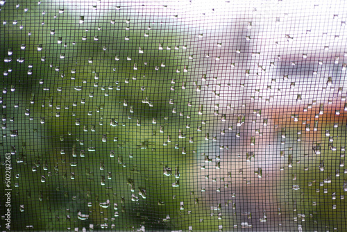 Rain water drops on gauze window with background of plants and building.