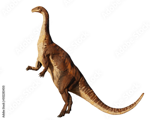 Plateosaurus, bipedal dinosaur from 214 to 204 million years ago, isolated on white background  © dottedyeti