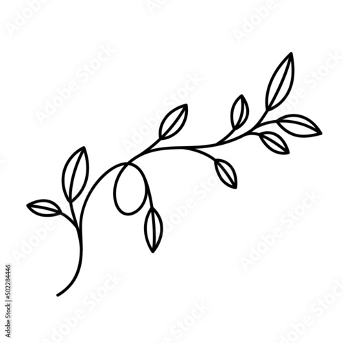 leaves branch icon