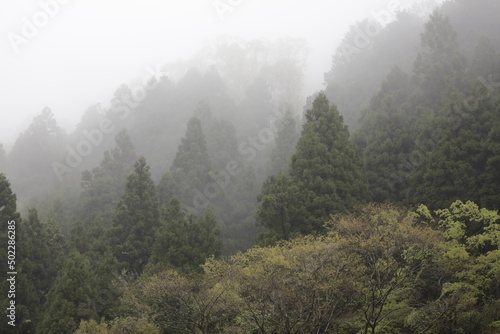 foggy mountain © Hiroshi Sumiyama