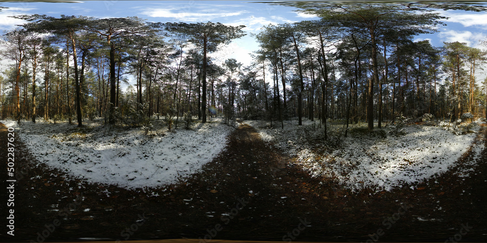 Winter Forest covered with snow HDRI Panorama Stock Photo | Adobe Stock