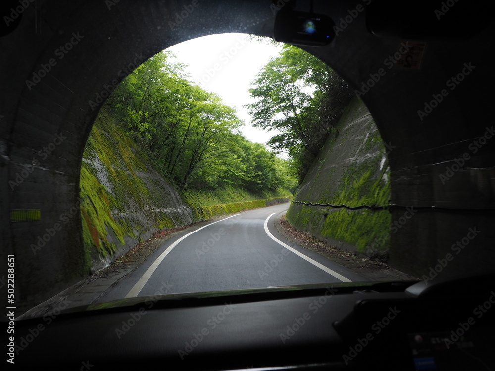 Fototapeta premium OLYMPUS DIGITAL CAMERA