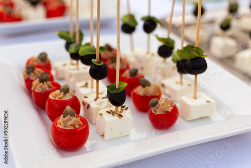 Appetizers with soft goat cheese, olives, mint leaves and tomatoes tuna sauce with capers photo