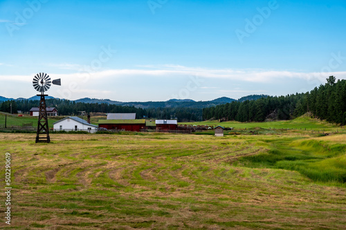 Obraz na plátně Rural homestead farmhouse in South Dakota with a windmill and hayfield
