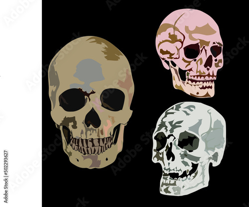 Ilustración de 3 cráneos en fondo negro