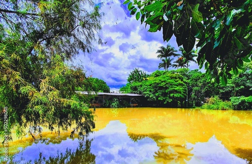 garden with pond