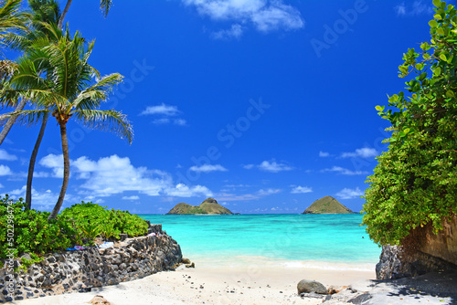 Fototapeta Naklejka Na Ścianę i Meble -  Hidden beach with view of the Mokes aka Na Mokulua with turquoise waters on a clear sunny day at Lanikai Beach on the windward side of Oahu, Hawaii. 