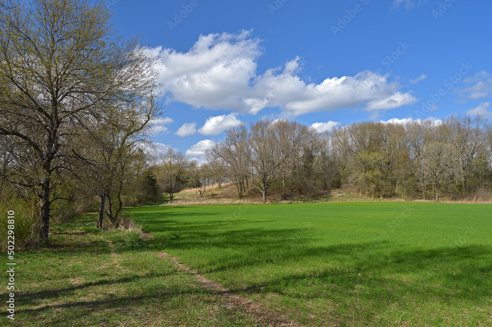 Landscape with green winter wheat field on sunny spring day Landscape with green winter wheat field on sunny spring day