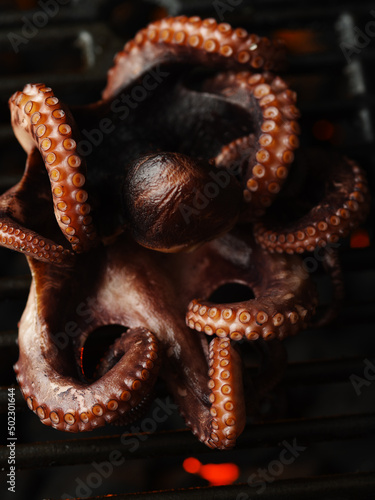 Macro shot. Big octopus is grilled. Cooking seafood dishes. Eastern cuisine. There are no people in the photo. Organic food, gourmet food. Healthy food, healthy lifestyle. Restaurant, hotel.