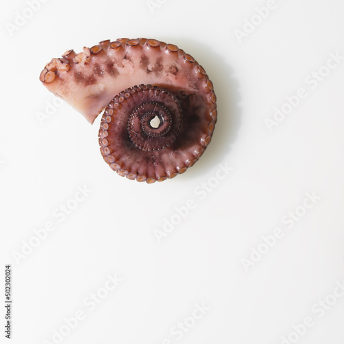 A twisted octopus leg on a white background. Minimalism. There is free space to insert. Cooking. Cooking seafood dishes for gourmets. Restaurant, hotel, cookbook. Advertising, banner.
