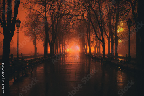 Canvastavla Night photo in heavy fog