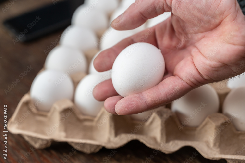 A man is holding a chicken egg in front of an egg tray. Adult male holding a white raw egg. Open recycled tray. Selective Focus. A man is holding a chicken egg in front of an egg tray. Adult male holding a white raw egg. Open recycled tray. Selective Focus.