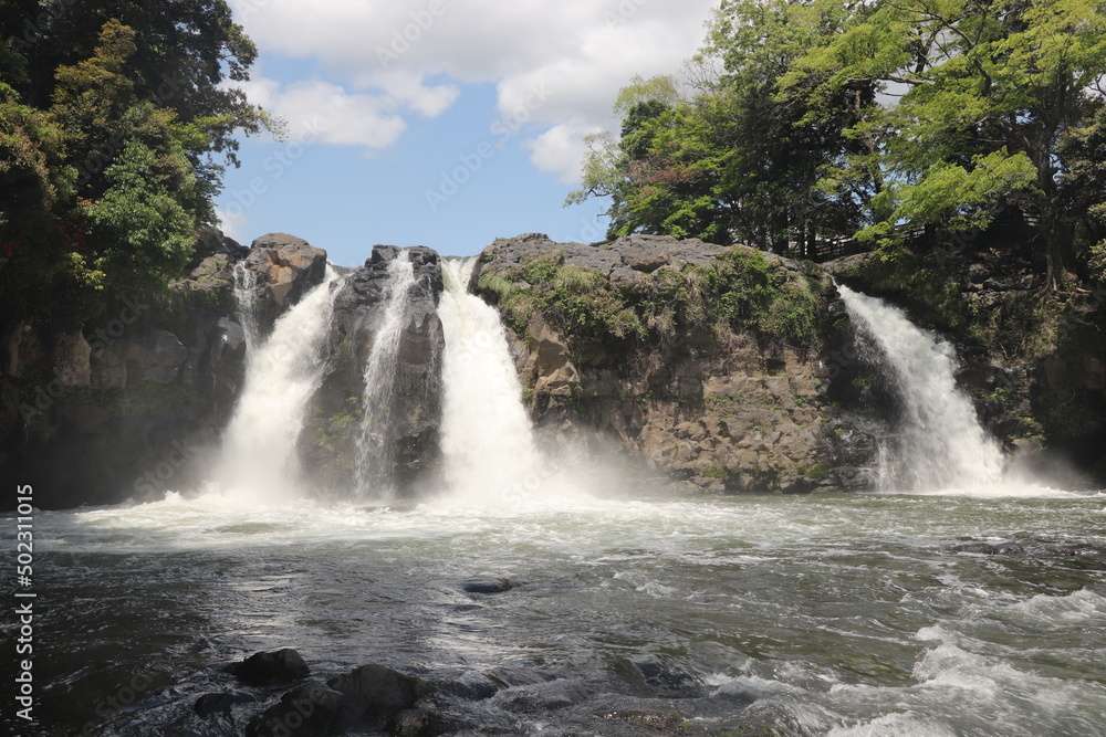 Fototapeta premium 五龍の滝