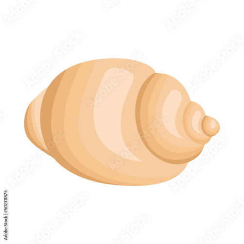 yellow seashell design
