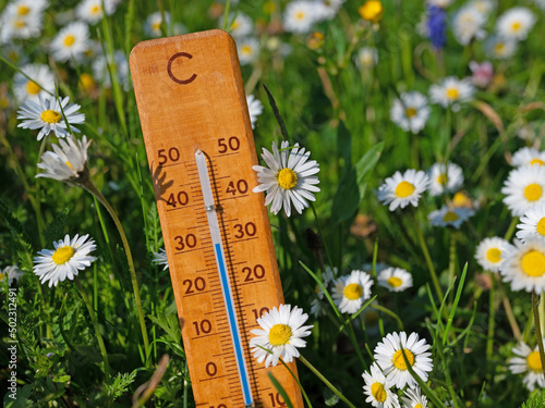 Thermometer auf einer Blumenwiese in der Sommerhitze photo