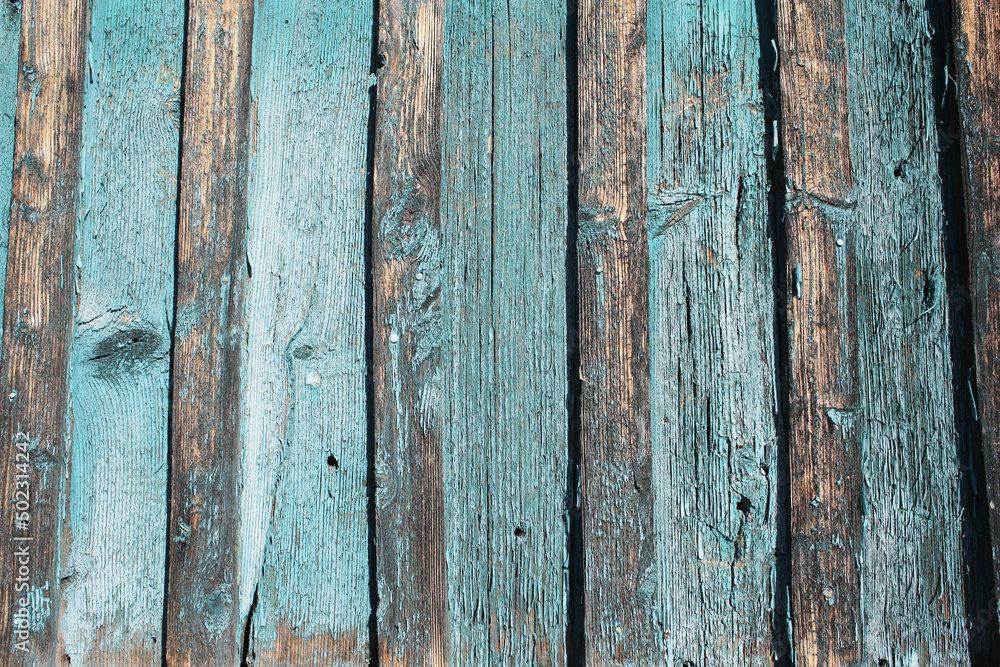 Fototapeta premium Wooden, old wall.