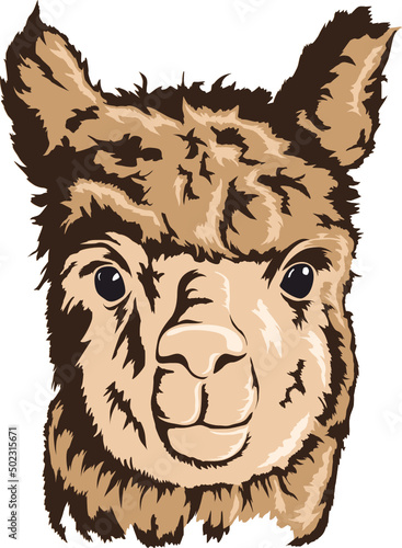 alpaka vektor illustration