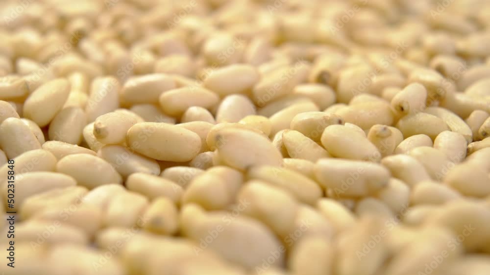 Hulled siberian pine nuts. Peeled cedar seeds. Shelled kernels. Pinus sibirica. Macro. Dolly shot Hulled siberian pine nuts. Peeled cedar seeds. Shelled kernels. Pinus sibirica. Macro. Dolly shot