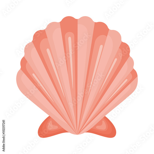 pink seashell design