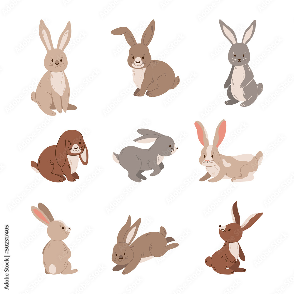 Set of  cute rabbits vector illustration.