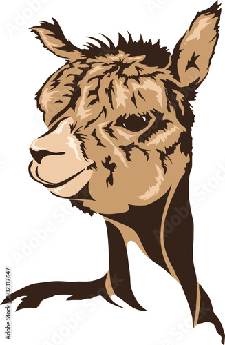 alpaka vektor illustration