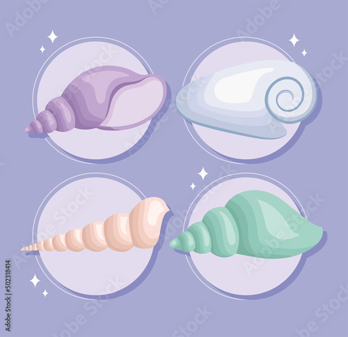 four colored seashell