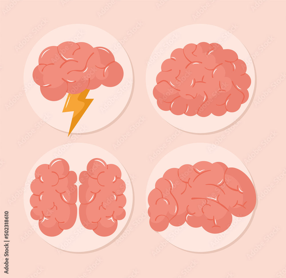four colored brains four colored brains