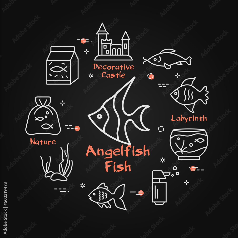 Vector linear aquarium concept. Angel fish and aquarium decor, feed and filter, seaweed icons on black