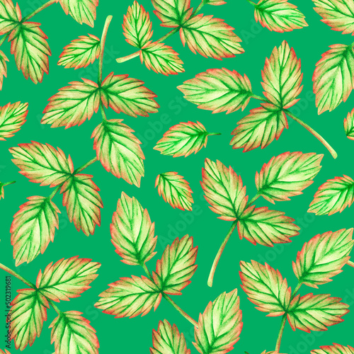 Leaf seamless pattern. Watercolor illustration. Isolated on a green background. For design.