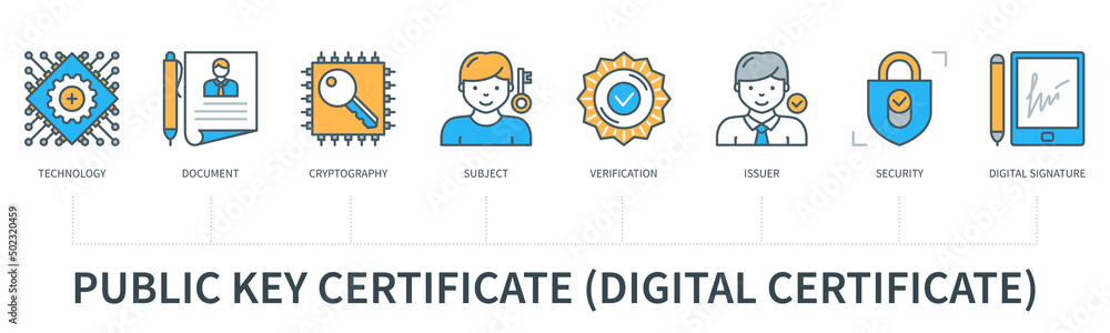 Public key certificate infographics in minimal flat line style Public key certificate infographics in minimal flat line style