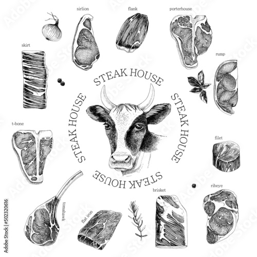 Slika na platnu Hand drawn meat elements set. Steak cuts set.