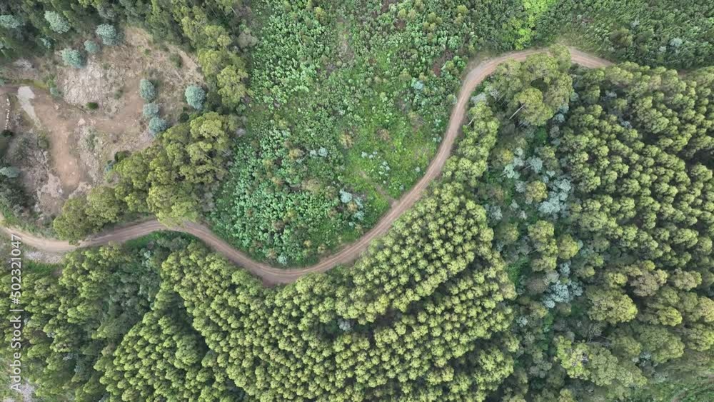 aerial view, top down over tree and shrubs, of the Australian bush. forest in Australia.
aerial view, top down over tree and shrubs, of the Australian bush. forest in Australia.