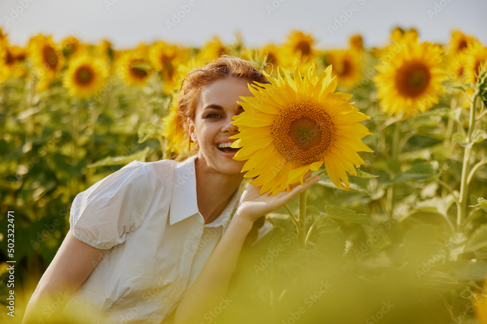 woman with pigtails looking in the sunflower field flowering plants woman with pigtails looking in the sunflower field flowering plants