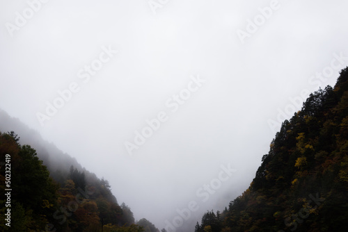 mountains in fog