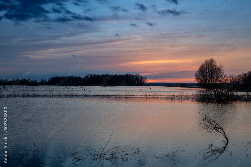 Silhouettes of trees at sunset. Dramatic evening landscape, high water. The sunset sky is reflected in the water. The river overflowed its banks.