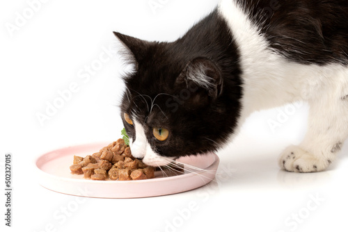 A young beautiful black and white cat is eating moist appetizing meat cat food.