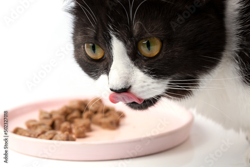 A young beautiful black and white cat is eating moist appetizing meat cat food.