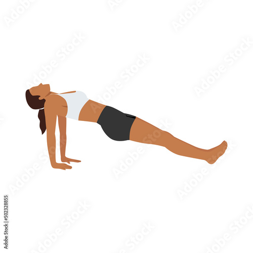 Woman doing upward plank pose purvottanasana exercise. Flat vector illustration isolated on white background
