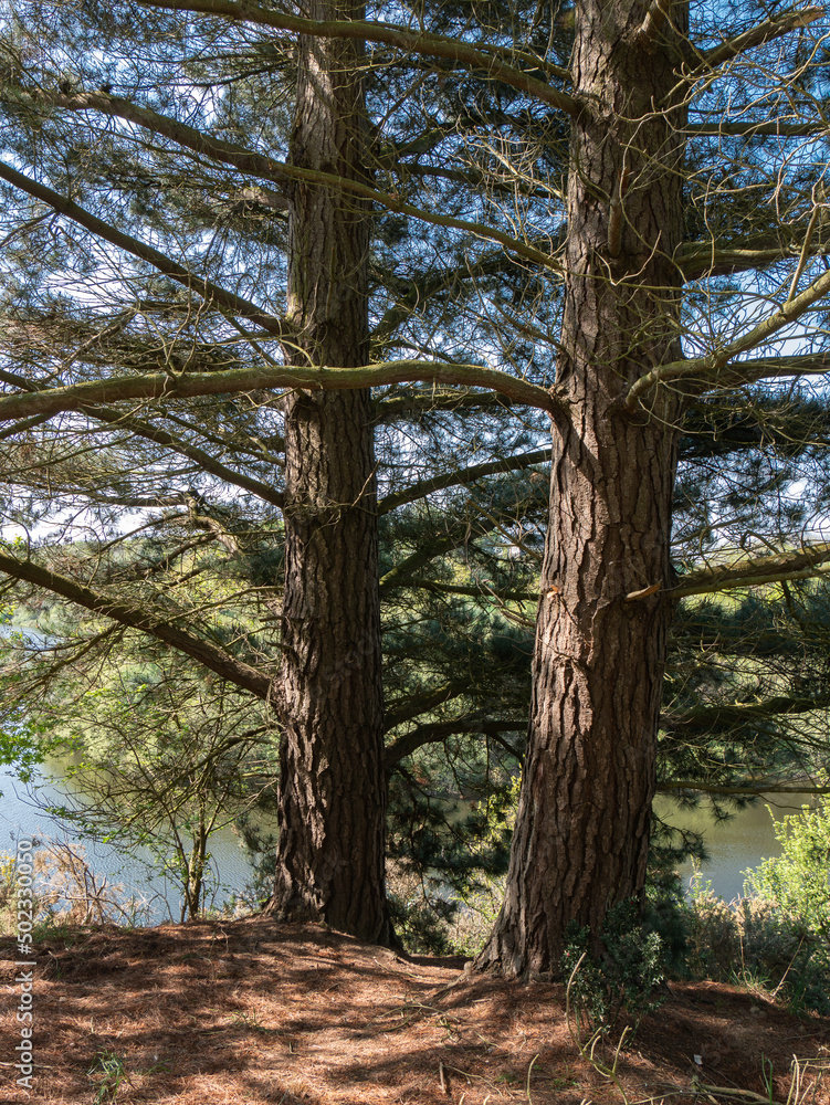 THE green nature of spring