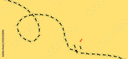 Vector Ants Seamless Pattern