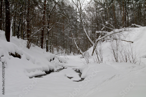 A stream in the winter forest. © Sergey Rybin