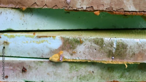 Waste, Styrofoam on construction site.