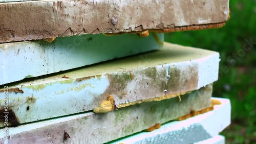 Waste, Styrofoam on construction site.