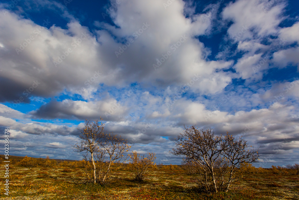 Autumn landscape in tundra, northern Norway. Europe Autumn landscape in tundra, northern Norway. Europe